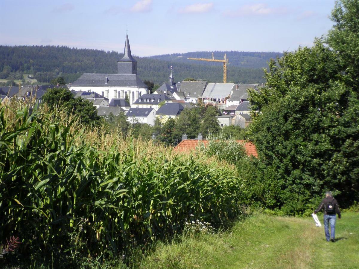 Ferienwohnung Am Weissenstaedter See Weißenstadt Zewnętrze zdjęcie